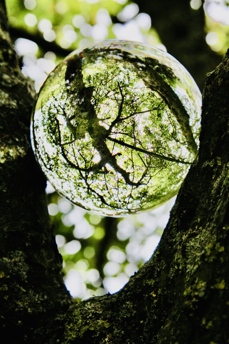 Lensball i træ. 