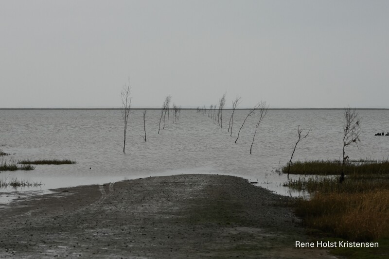 Ved vejes ende (Ebbe vejen )