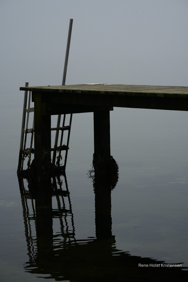 Spejlblank vand i vejlefjord