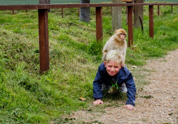 Tur til Blåvand Zoo.