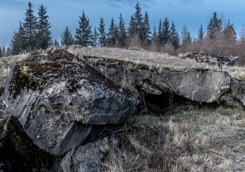 Bunker i Lerskov Plantage 