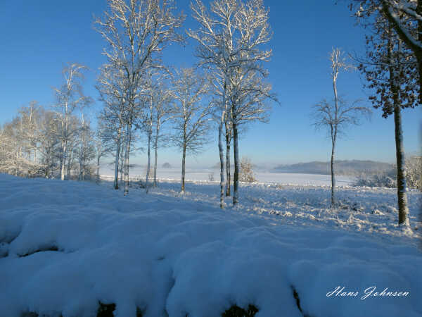 P1040034 Vinter  Billede 3