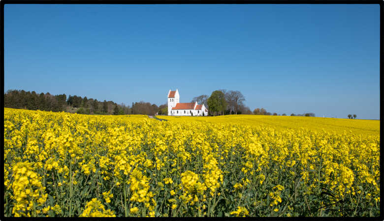 Kirke i rapsmark