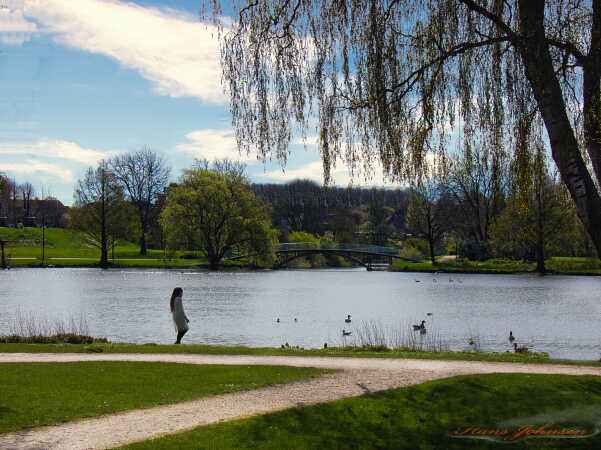 Pigen i damparkken