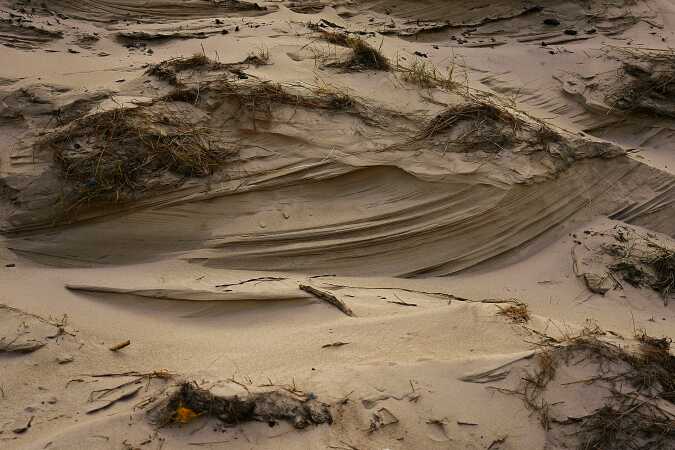 Blæsten leger med sandt ved Nymindegab strand