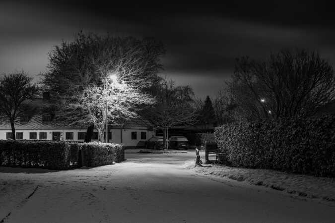 Vinterens første sne