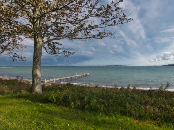 ved Diernæs strand