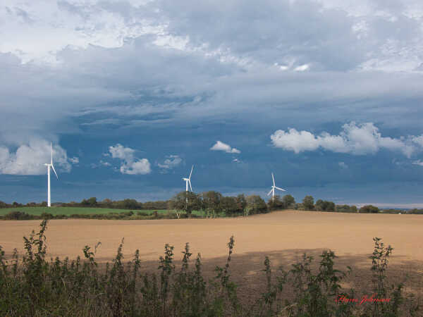 Et kik ud over marken