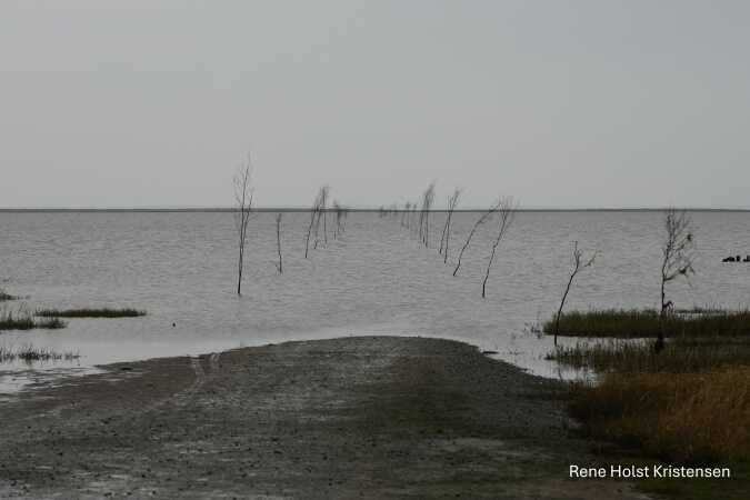 Ved vejes ende (Ebbe vejen )