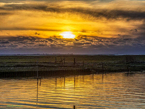 2025 nov 20 solnedgang Kammerslusen (21)-Edit