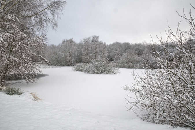 et vinter billede fra en lille sø 