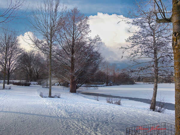 Haderslev Dampark i vinterklæder