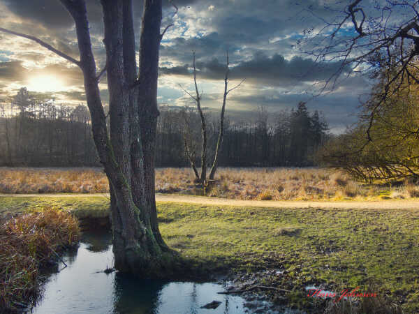 Fra en af mine fototure