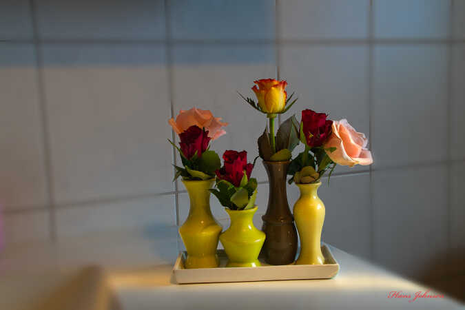 Pynte fe har været på spil