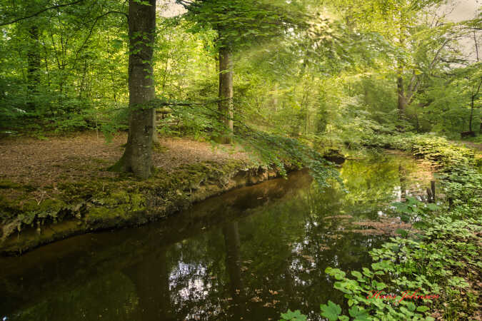 ved Tørning mølle
