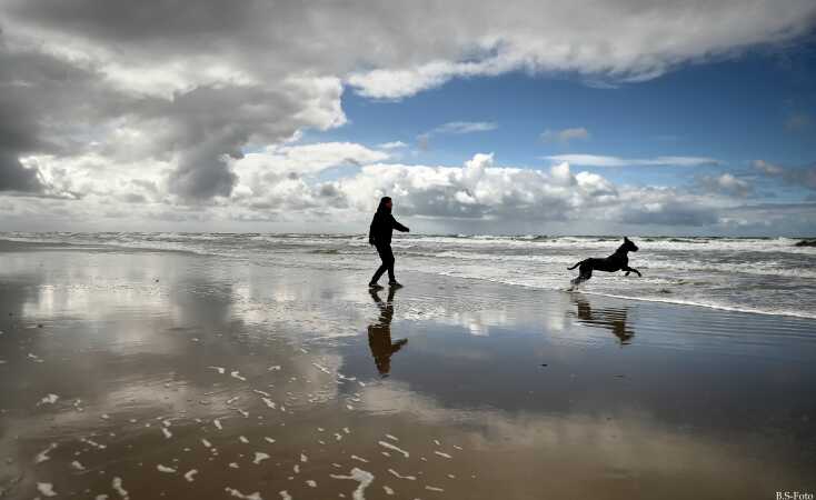 Vandhund...