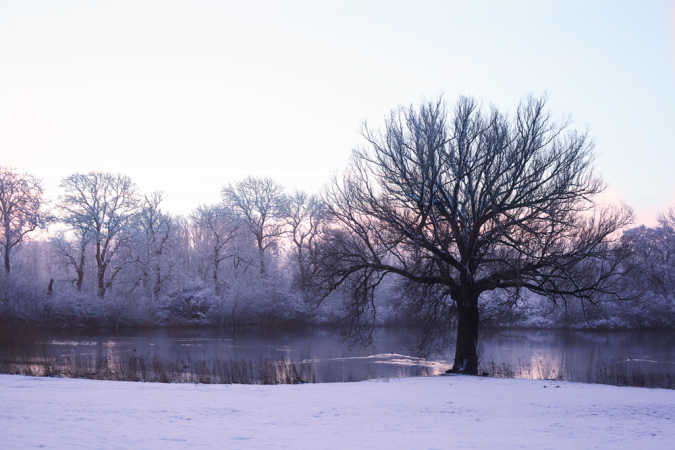 Vinter i Søgaard