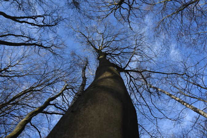 Blå himmel