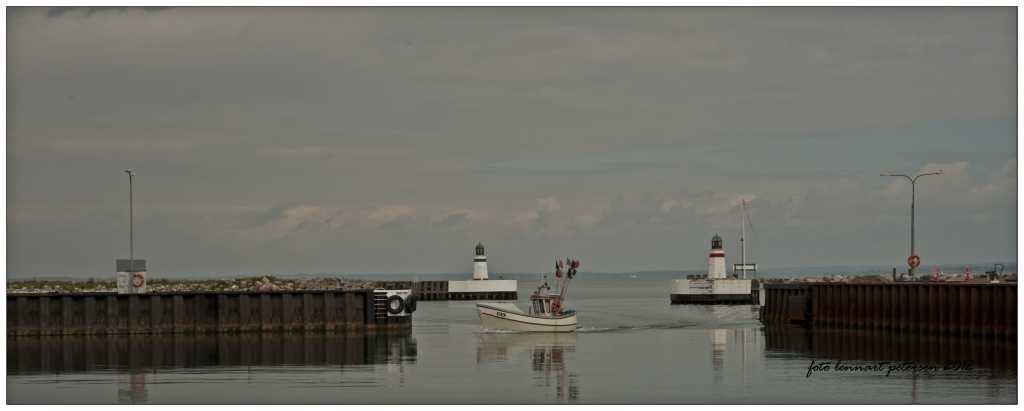 Søby havn