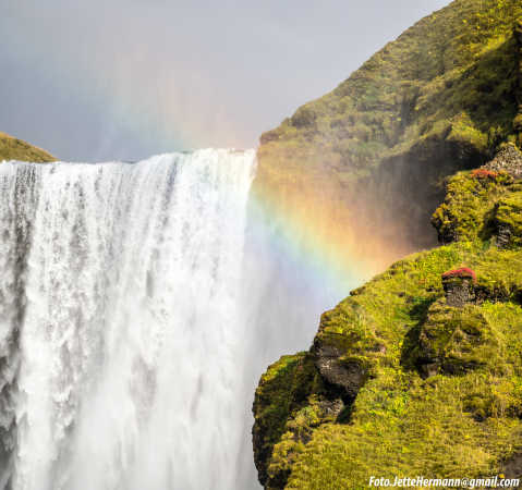 Skogafoss, Island