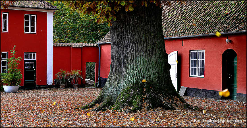 Efterår.