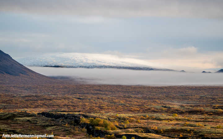 Morgen over Thingvellir, Island