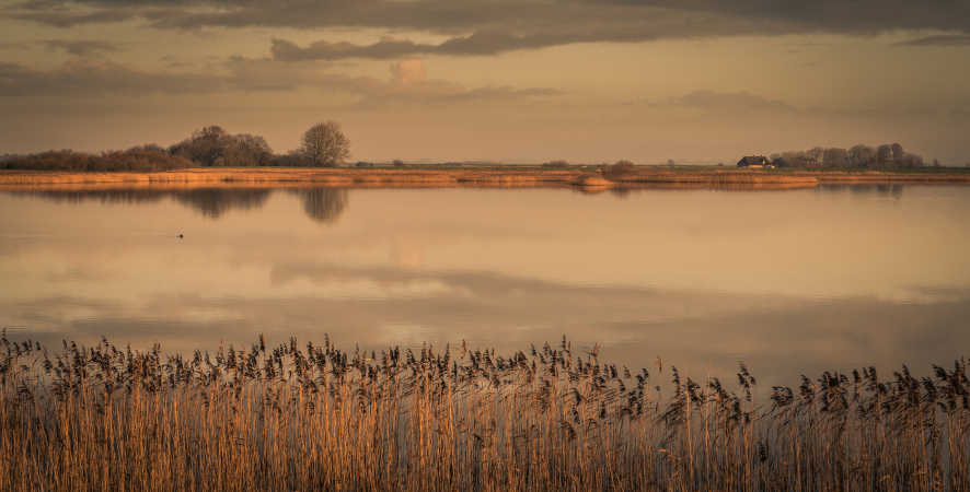 Calm Lake