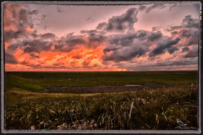 DSC_1720-111