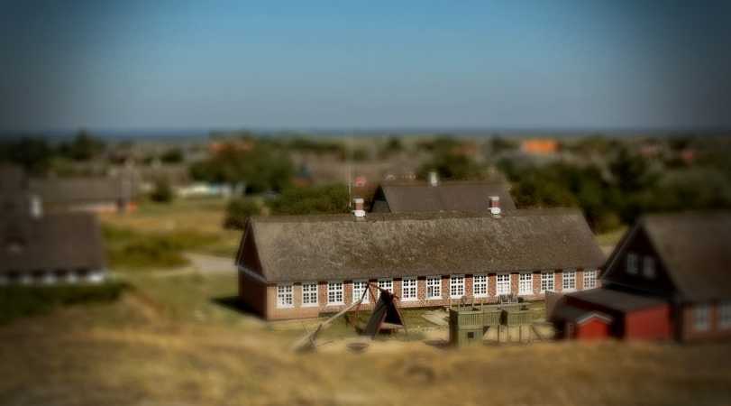 Miniature hus