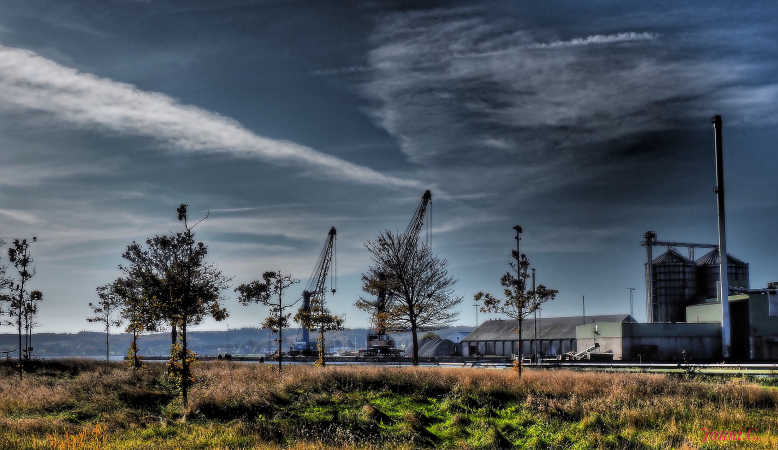 Søndag på havnen.