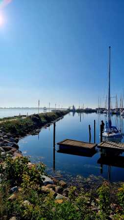 Havnen i Årøsund 