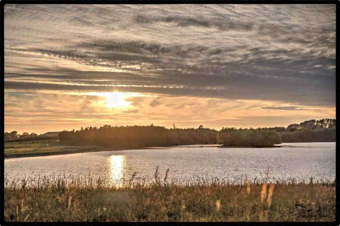 solnedgang