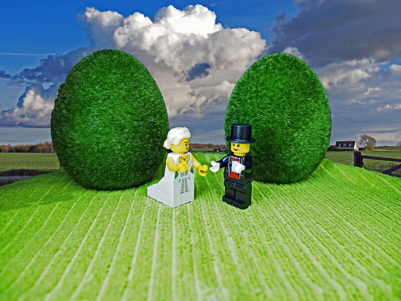 Brudepar i det grønne