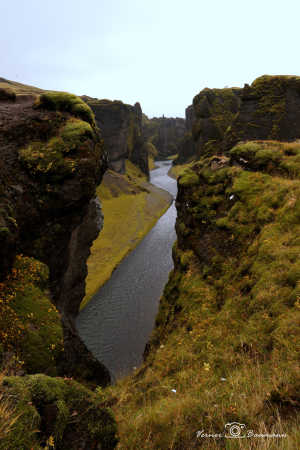 Fjaðrárgljúfur Canyon 