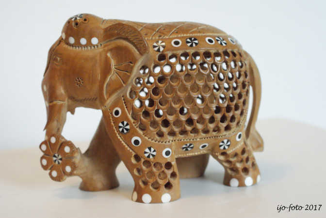 Indisk træelefant 1