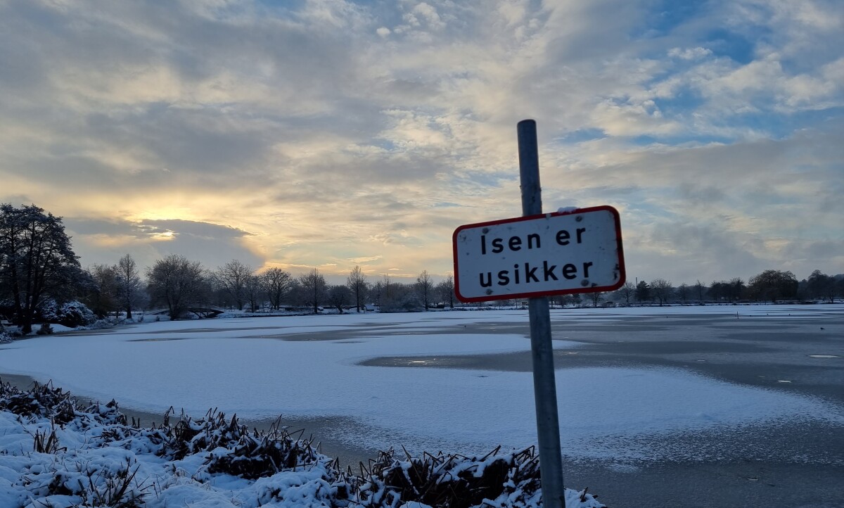 20221214_142519 – Dan Bisgaard Laursen 