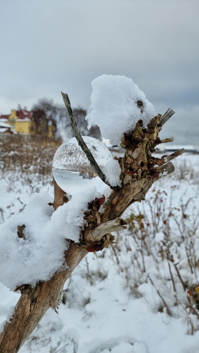 20221215_125720 – Dan Bisgaard Laursen 