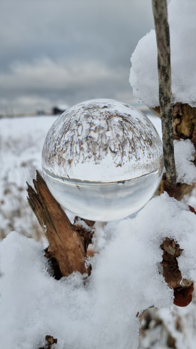 20221215_125827 – Dan Bisgaard Laursen 