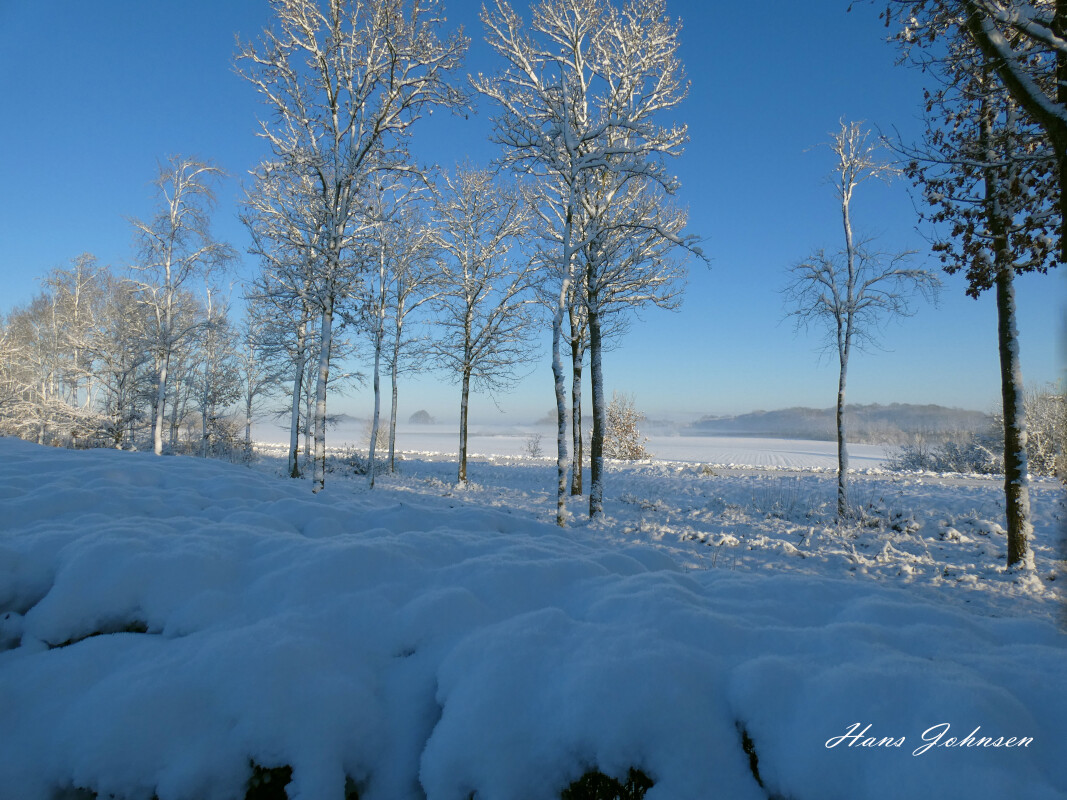 P1040034 Vinter  Billede 3 – Hans Johnsen