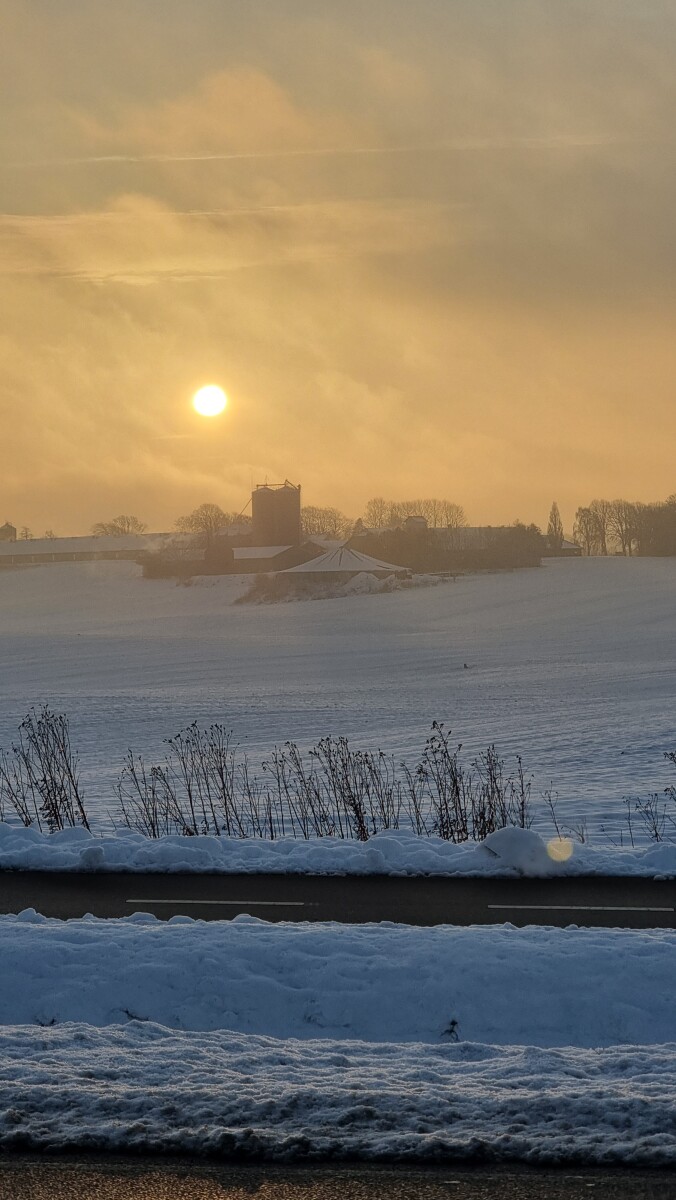 20221218_092757 – Dan Bisgaard Laursen 