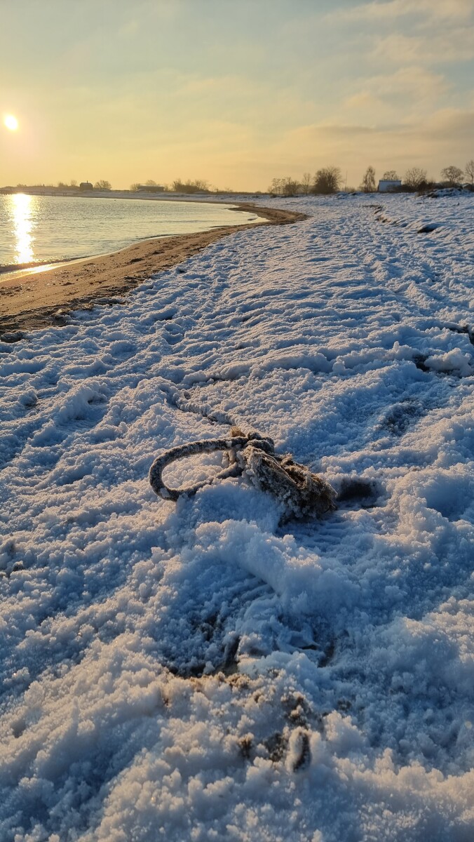 20221217_094352 – Dan Bisgaard Laursen 