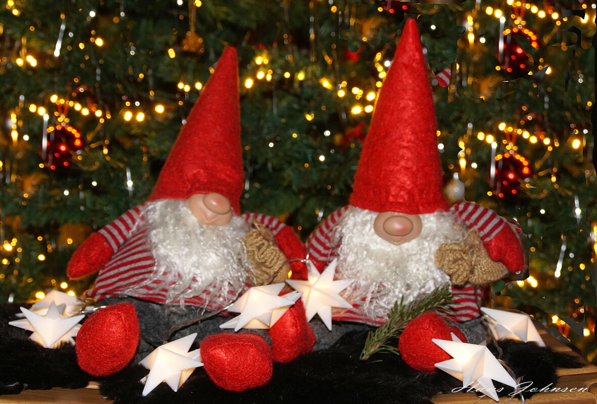 DSC05882  Glædelig Jul – Hans Johnsen