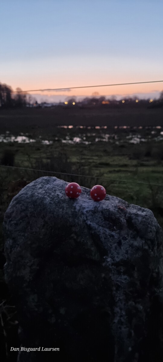 20221226_164216 – Dan Bisgaard Laursen 