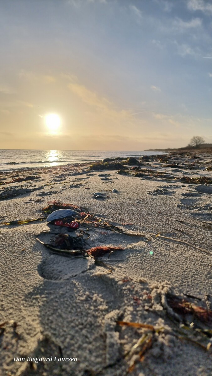 20221230_095959 – Dan Bisgaard Laursen 