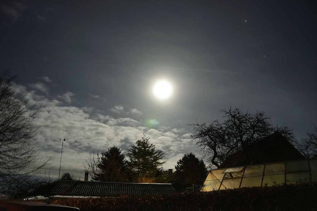 _DSC5477 – Dan Bisgaard Laursen 