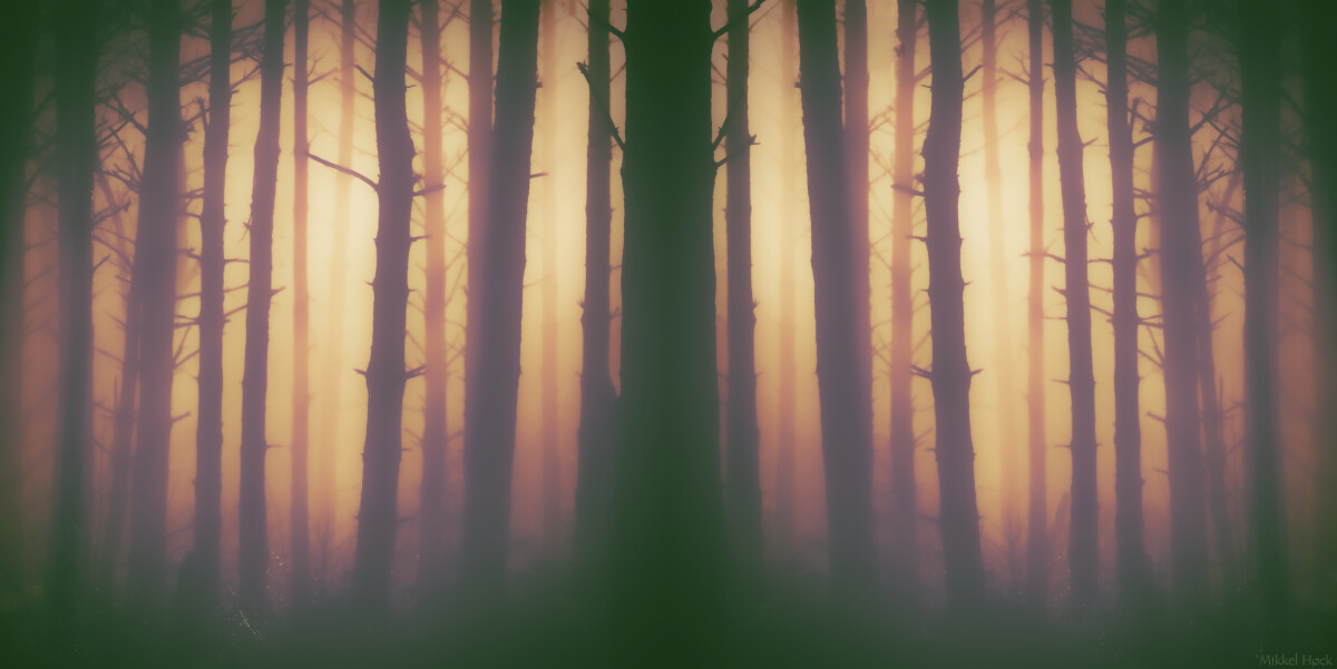 Within – Mikkel