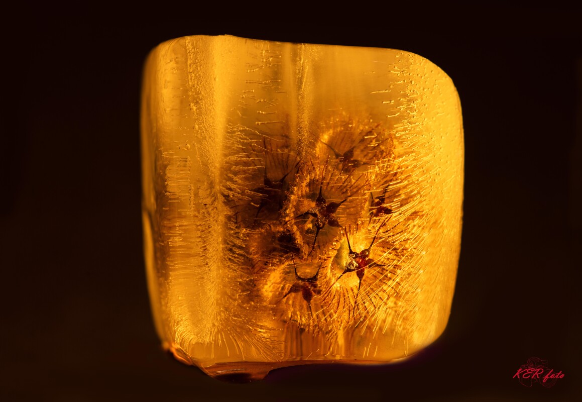 DSC07023 – Knud Erik Riis