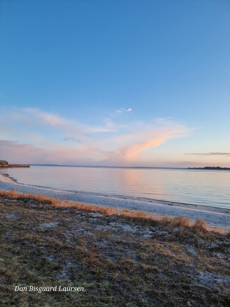 20230315_065020 – Dan Bisgaard Laursen 