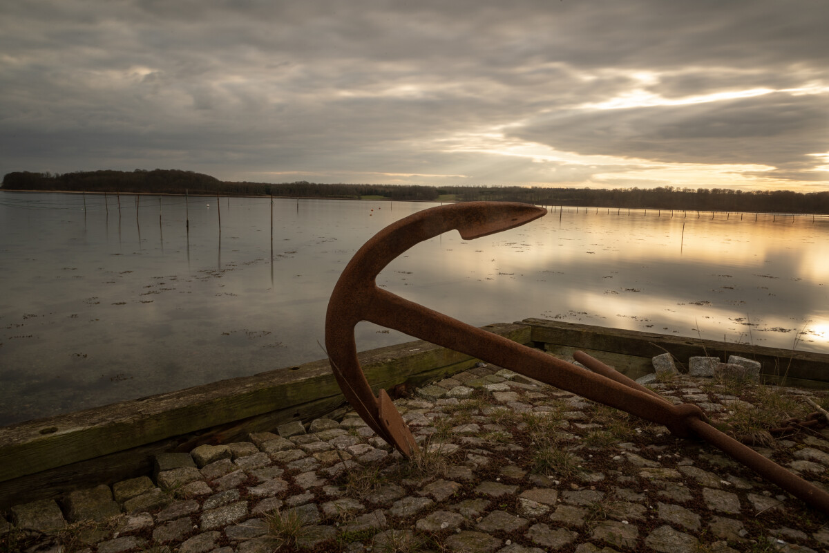 _MG_5027-2 kopier – Lars Barløse