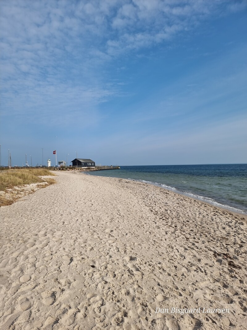 20230410_095422 – Dan Bisgaard Laursen 